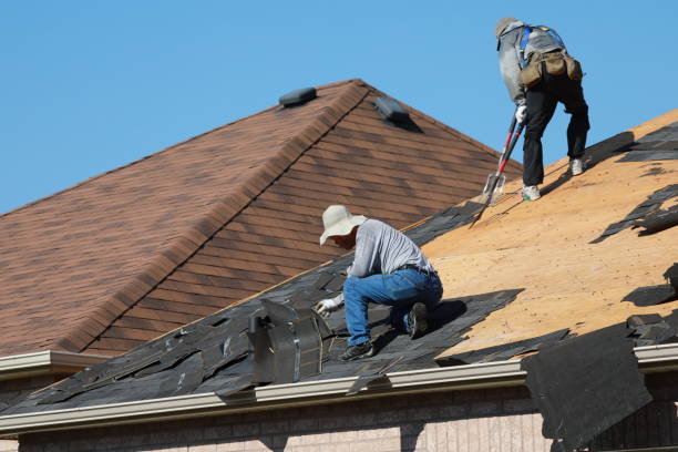 Best Roof Maintenance and Cleaning  in Ellaville, GA