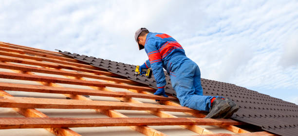 Best Roof Ventilation Installation  in Ellaville, GA