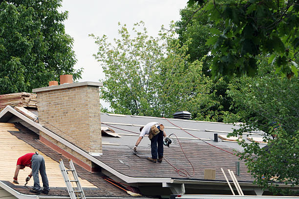 Best Cold Roofs  in Ellaville, GA